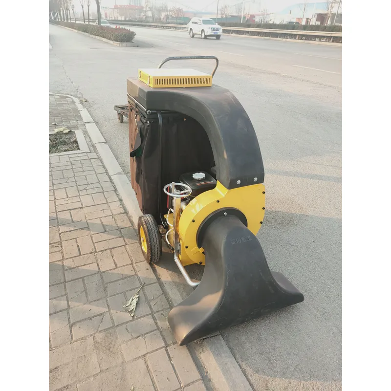 Selbstfahrender Motorbetrieben – Outdoor Power Vacuum Bewertung und Preis