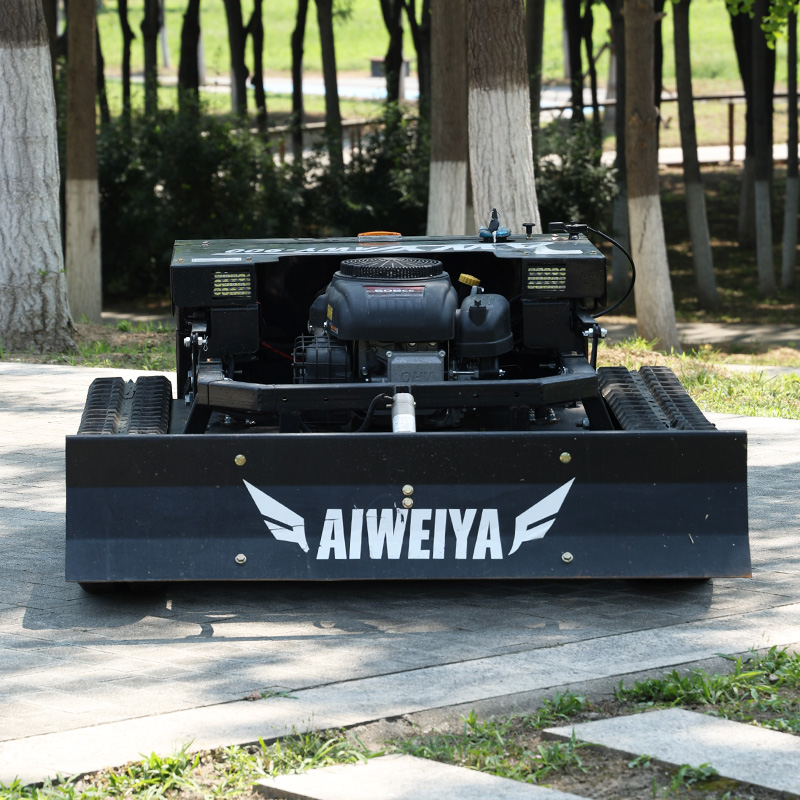 Maßgefertigter Hochleistungs-F – Snow Blower Single Bewertung und Preis