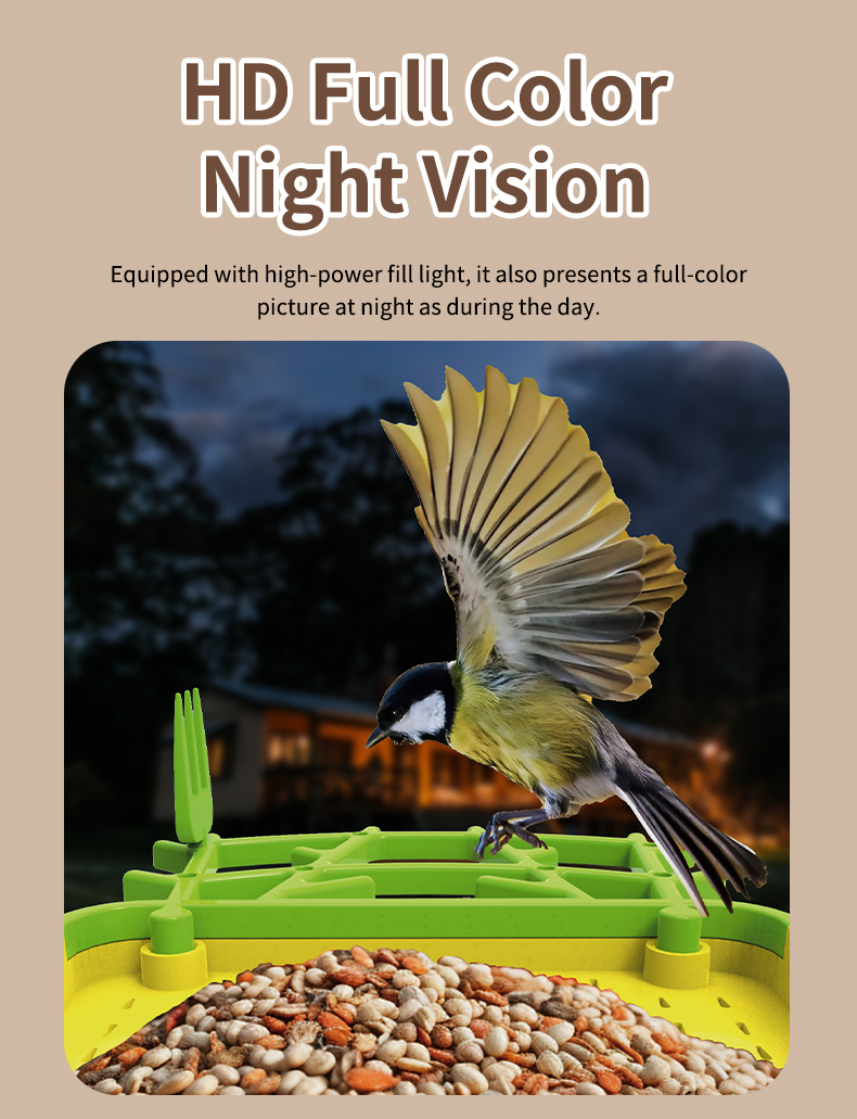 STLFSmart Bird Feeder HD Camer – Power Outdoor Bewertung und Preis